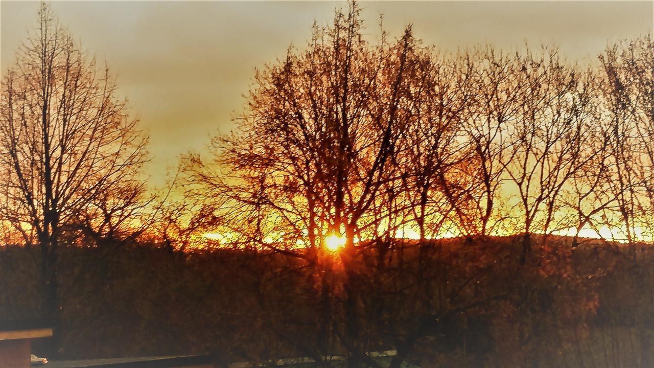 Domaine Des Marequiers Chambre Silene Saint-Germain-du-Teil Екстериор снимка