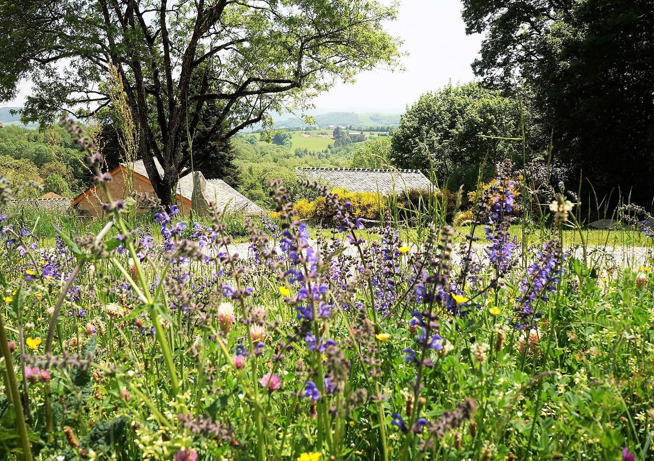 Domaine Des Marequiers Chambre Silene Saint-Germain-du-Teil Екстериор снимка