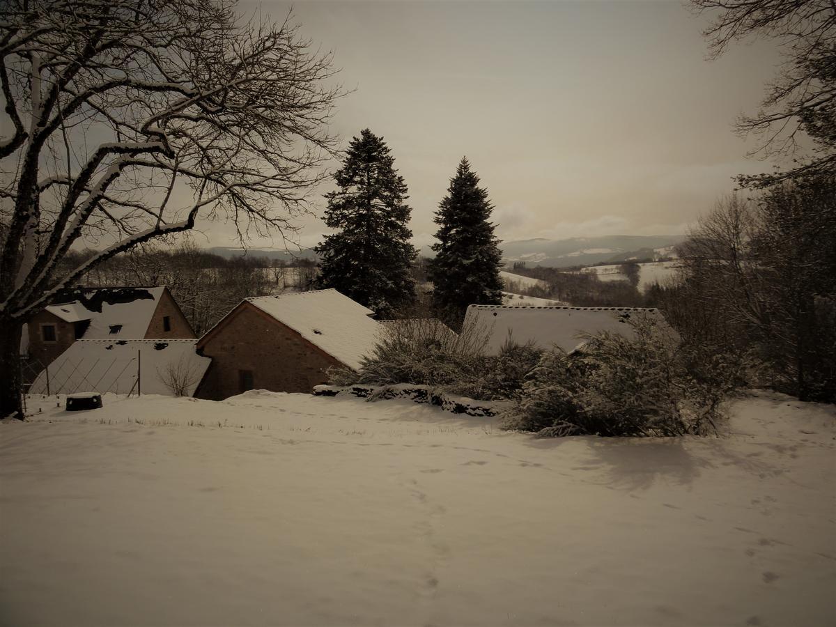 Domaine Des Marequiers Chambre Silene Saint-Germain-du-Teil Екстериор снимка